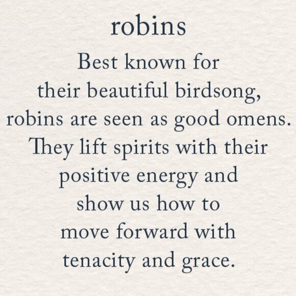 Brand New For Spring Robin Bird Nature Lover Theme Silver Dipped Cuff Ring - Picture 5 of 6